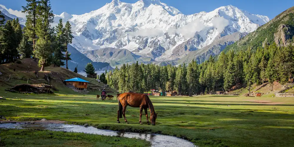 Pakistan Simplifies Visa Rules to Welcome Tourists for 126 Countries