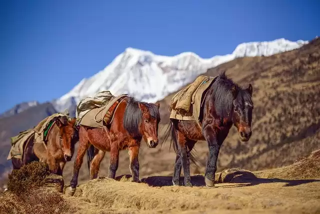 Places To Visit In Bhutan