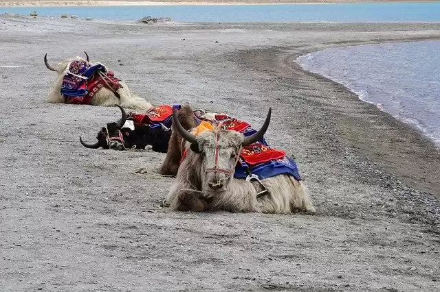 Incredible Places To Visit In India