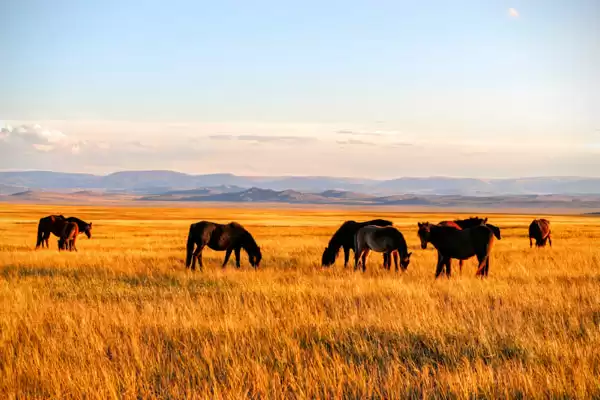 Tips For Traveling To Kazakhstan