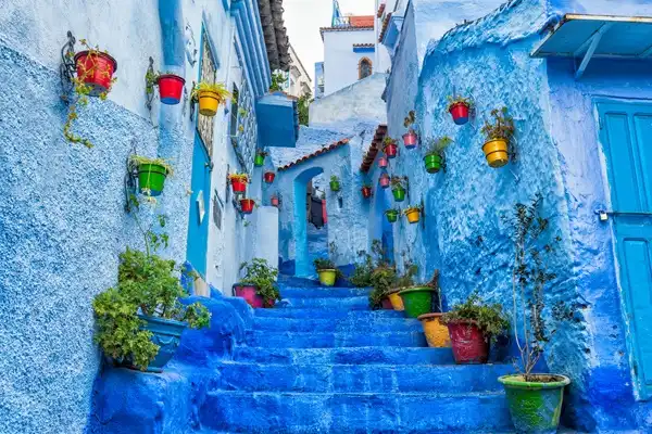 Indulge in Morocco's Culinary Delights