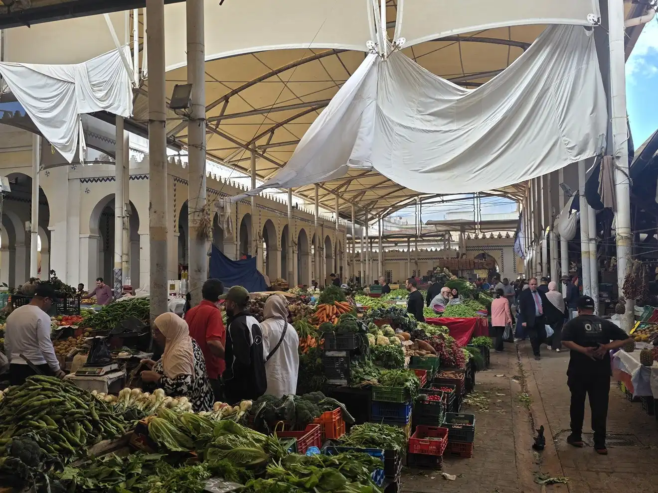 When to Visit Tunisia