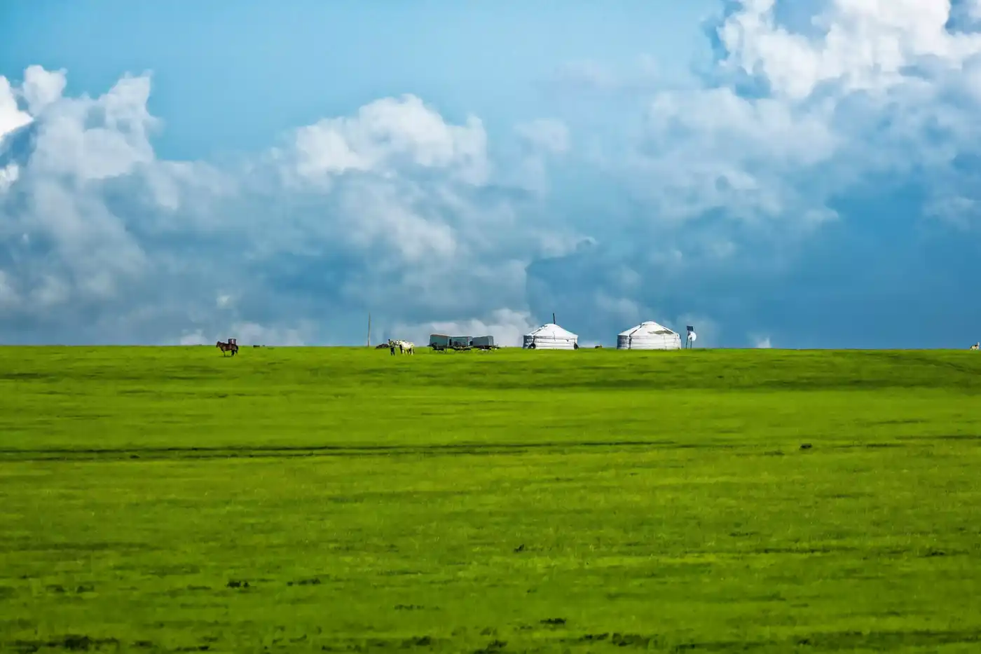The Magical Khangai Region Tour