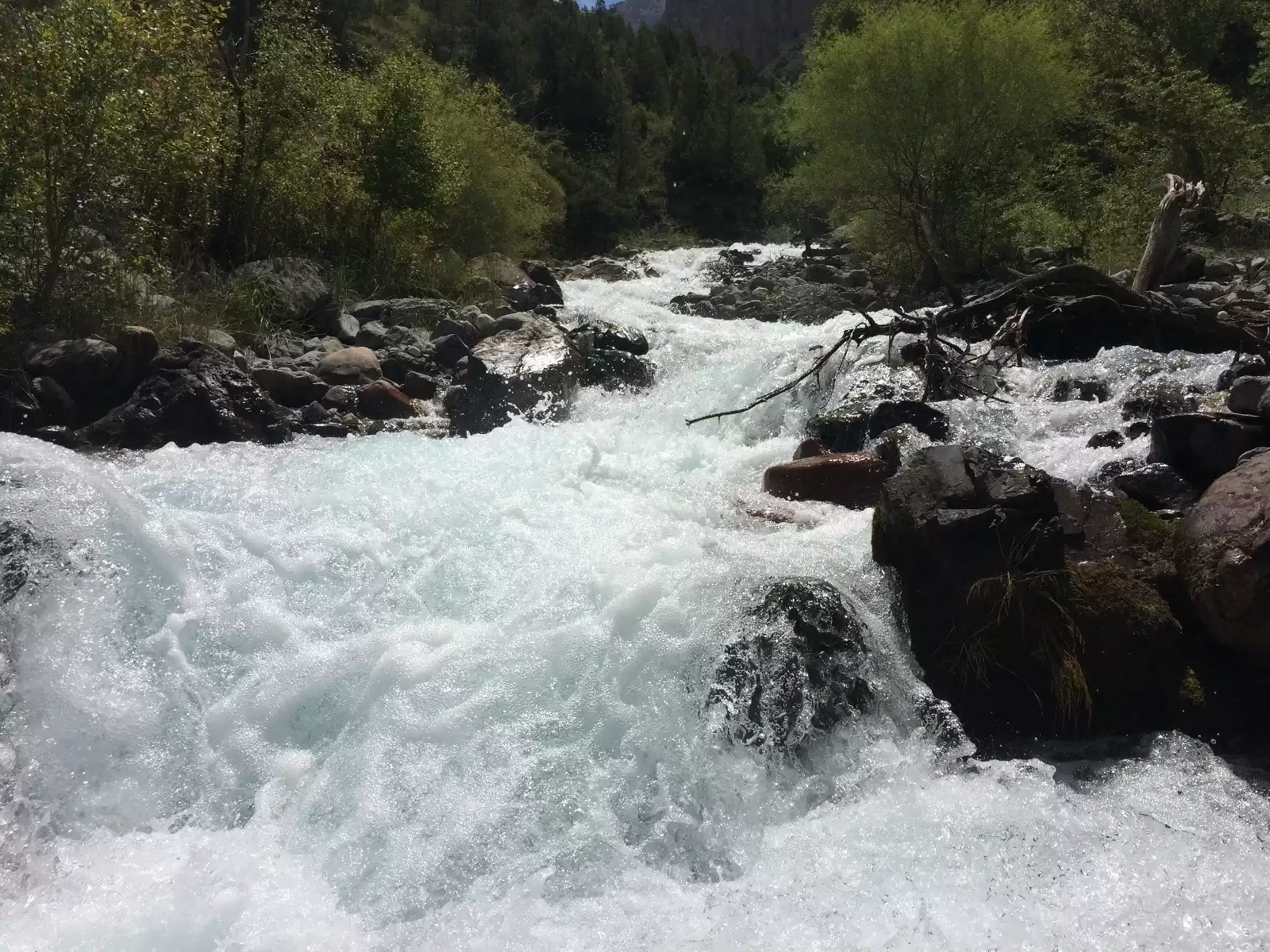 Hiking Famous Aksu-zhabagly Nature Reserve & Turkistan