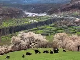 Fairy Meadow Naran Gilgit Tour And Trekk