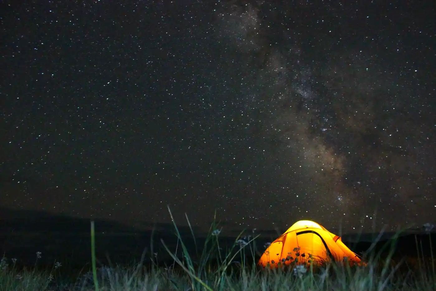 Highlights Of Mongolia