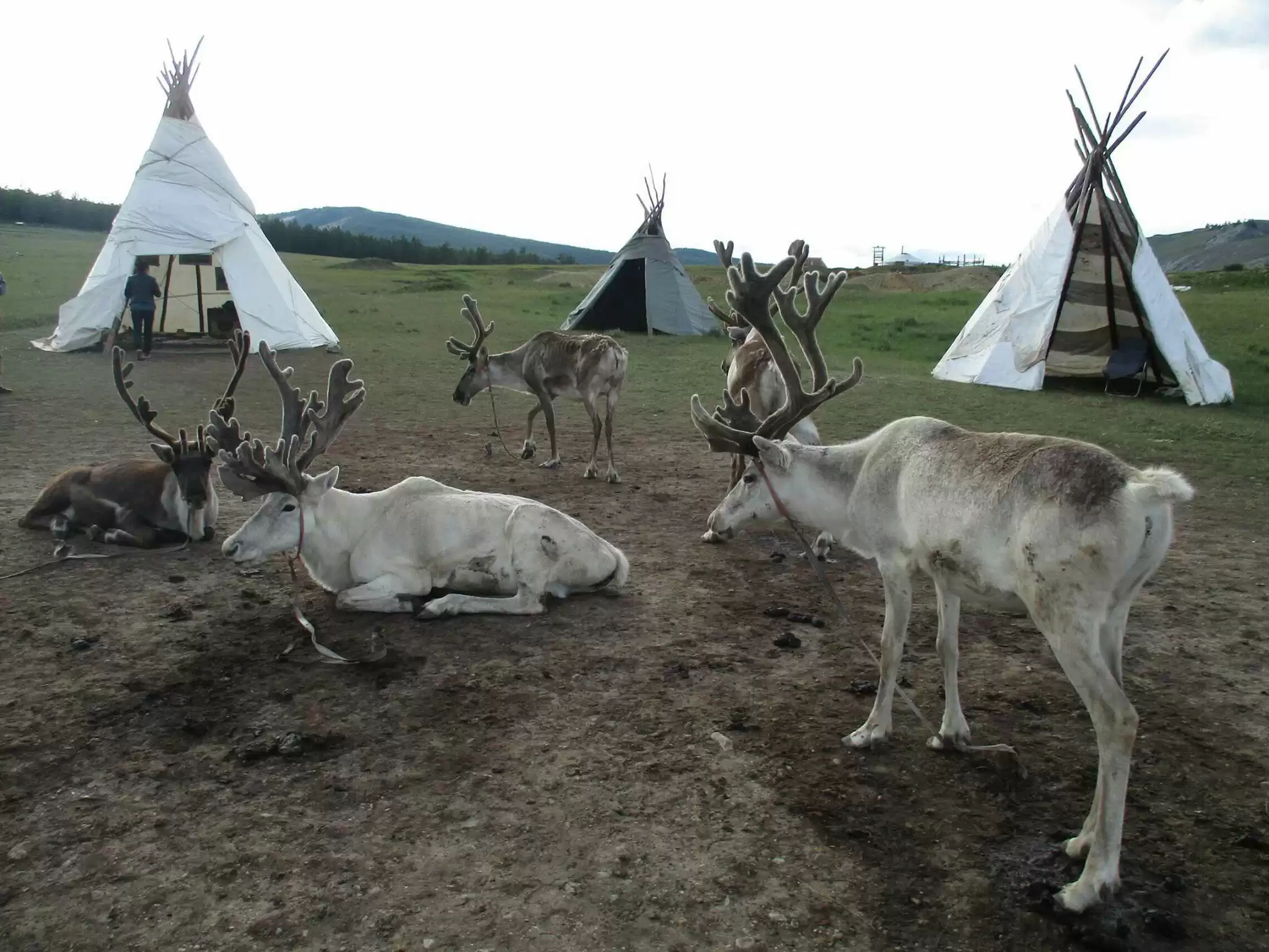 Roadtrip To Central And Northern Mongolia