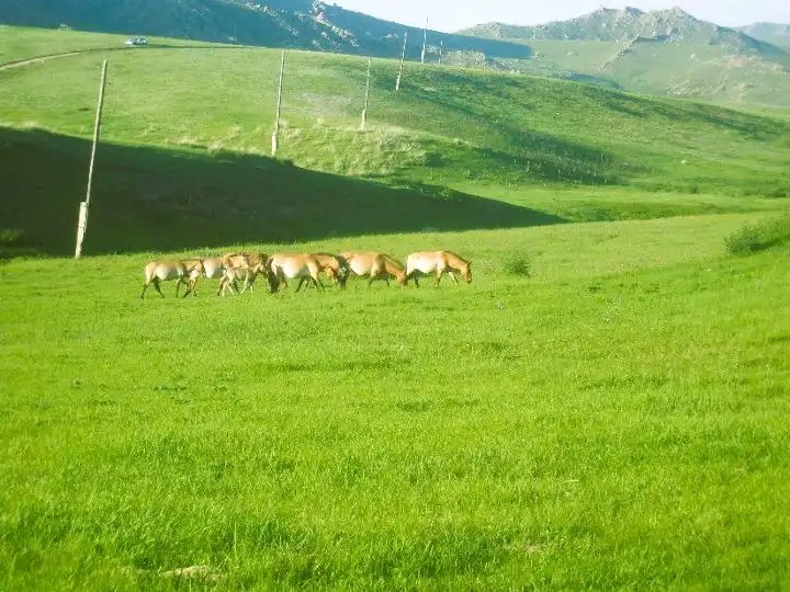 Byambatseren