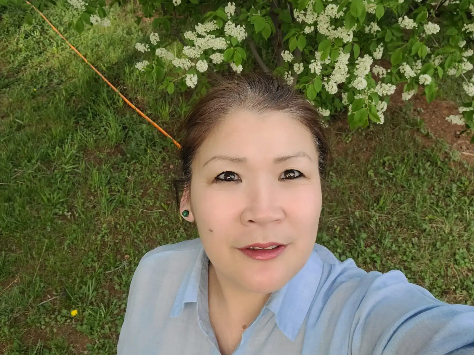 Hongor