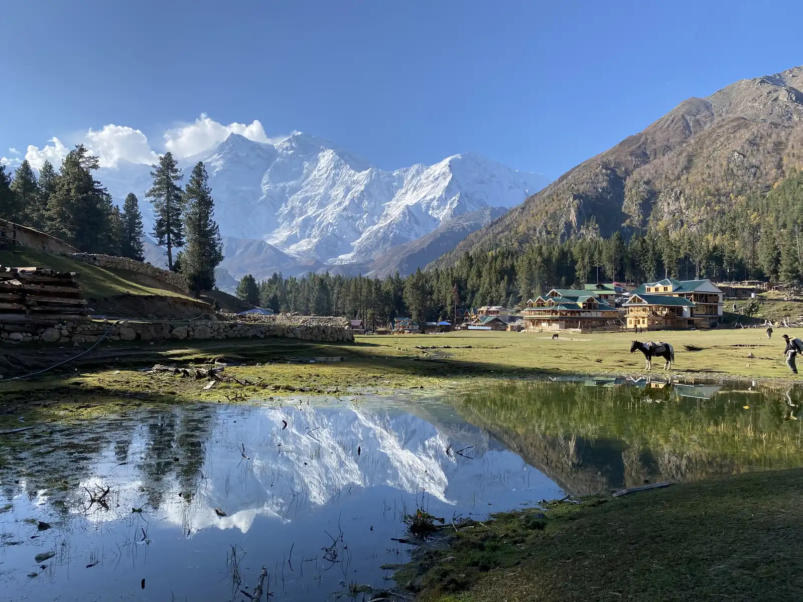05 Days Fairy Meadows Nanga Parbat Base Camp Pakistan