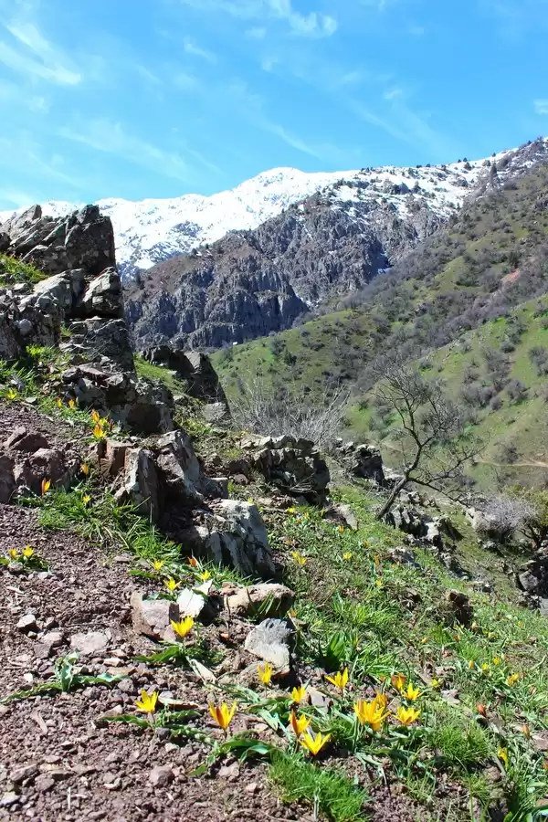 Picnic Tour In Varzob - Hiking To Waterfall Guzgarf