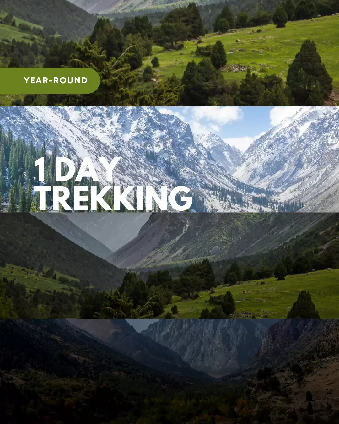 1 Day Trekking