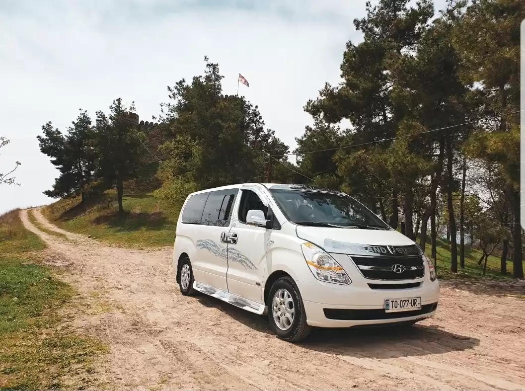 11 Seater Minivan With Professional Driver In Tbilisi