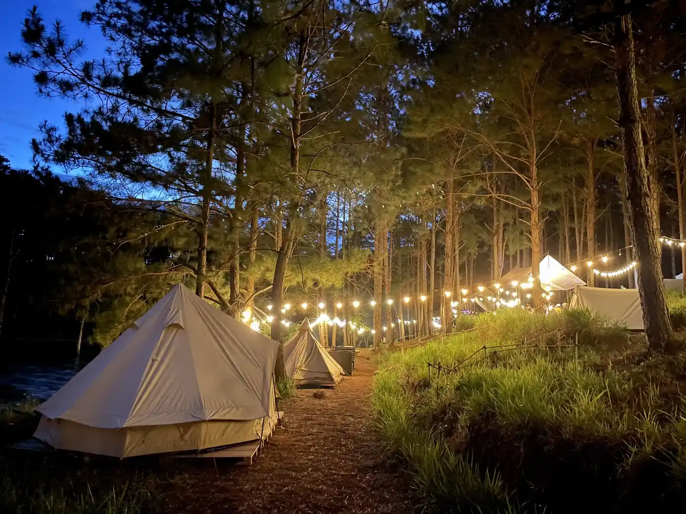 2-day Dalat Adventure: Motorbike - Camping - Canyoning