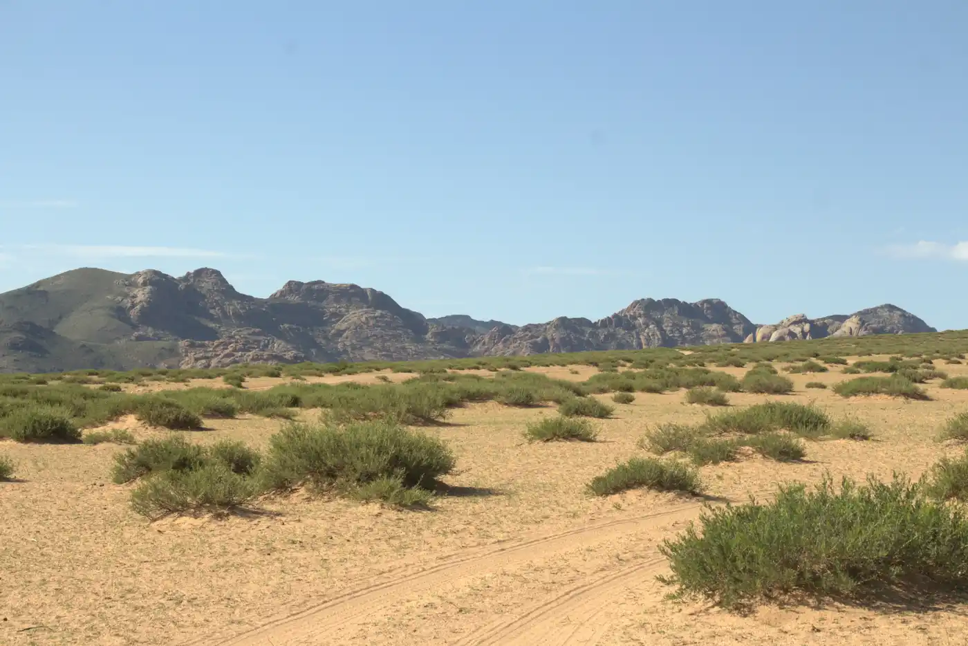 3 Day Tour - Mini Gobi & Hustai National Park