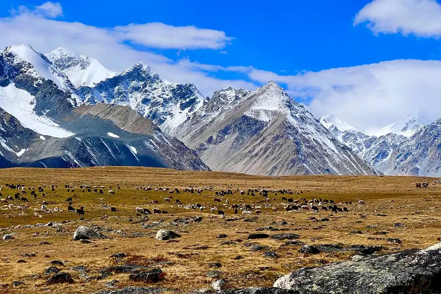 6 Day Hiking & Climbing Trip In Tavan Bogd