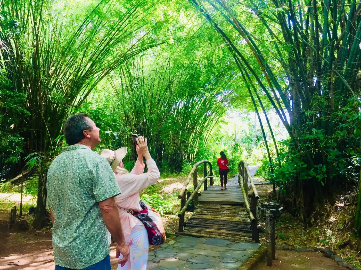 6hrs Exploring Beambatry Private Park-red Tsingy