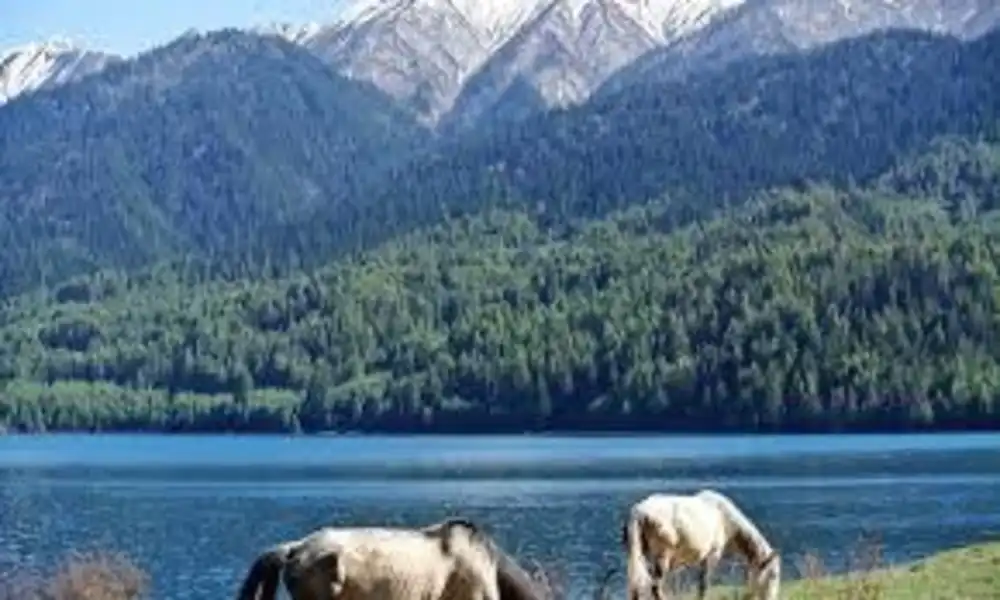 7 Days Trek To Rara Lake