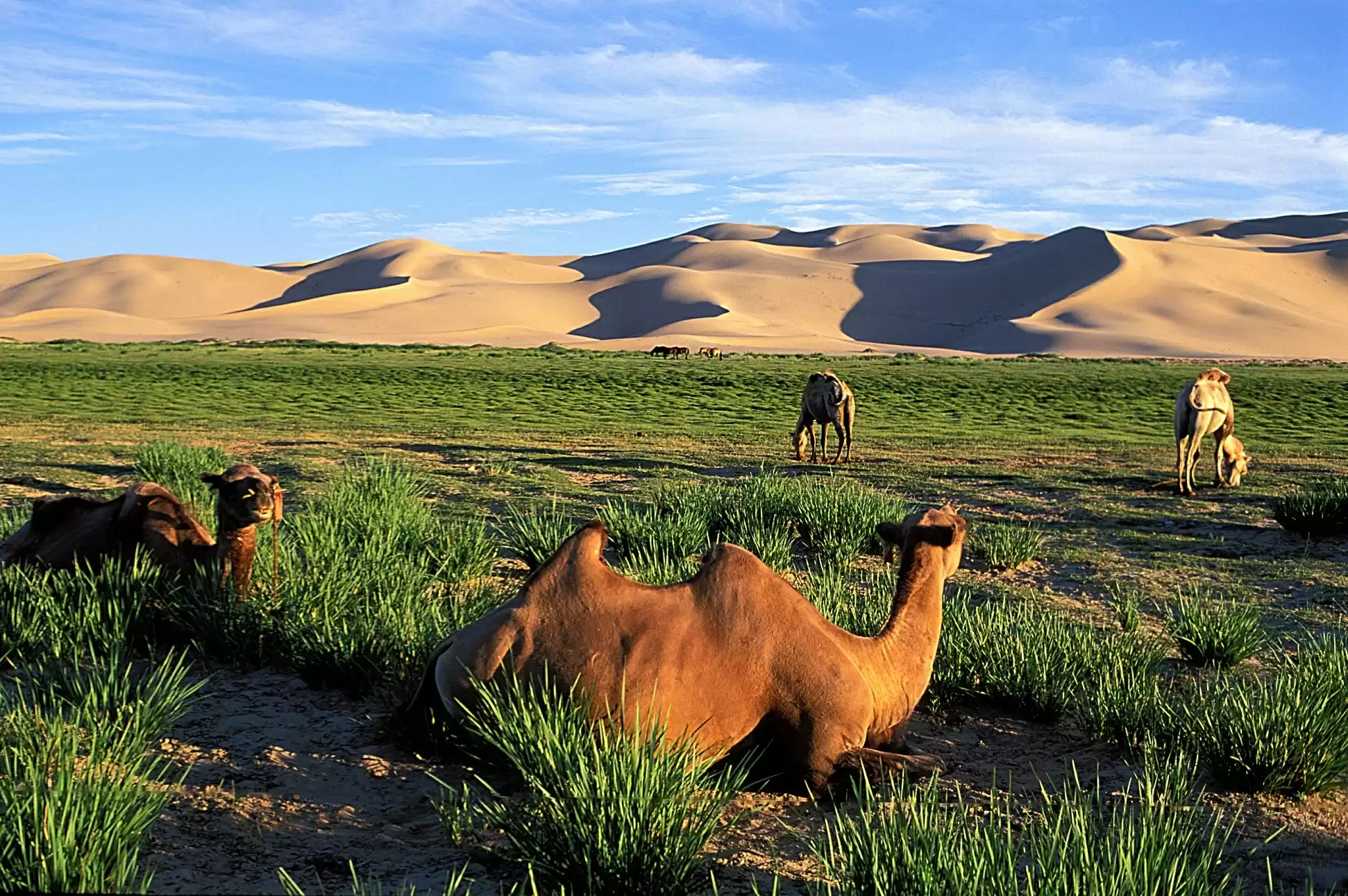 7-Day Gobi Join-In Tour