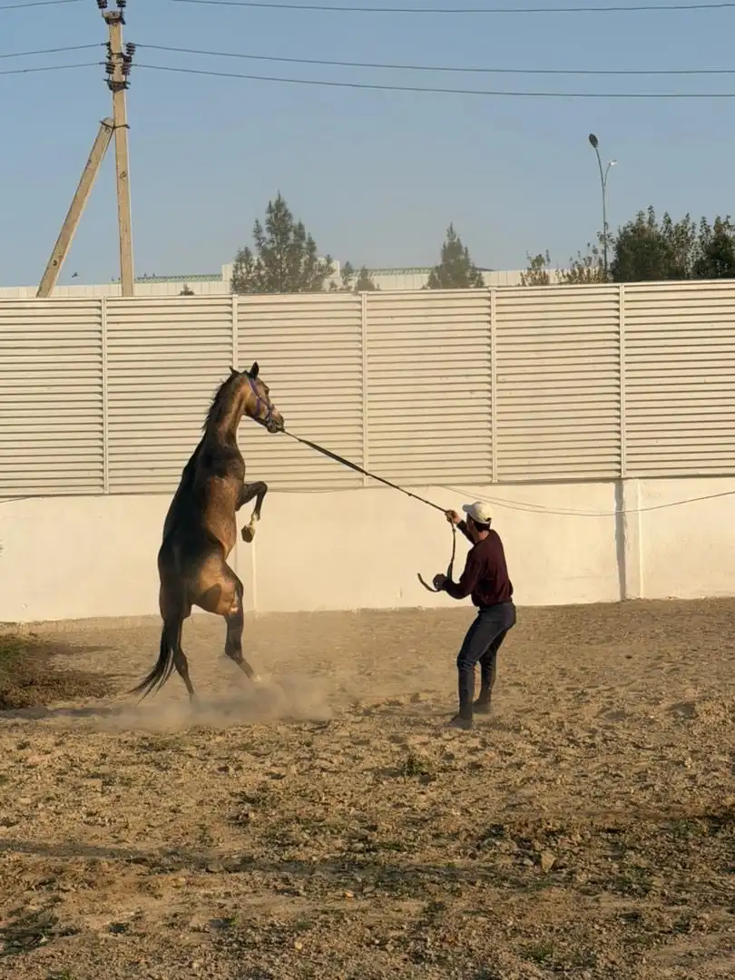 7-day Journey Across Turkmenistan