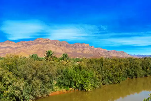 9 Days In The Sahara