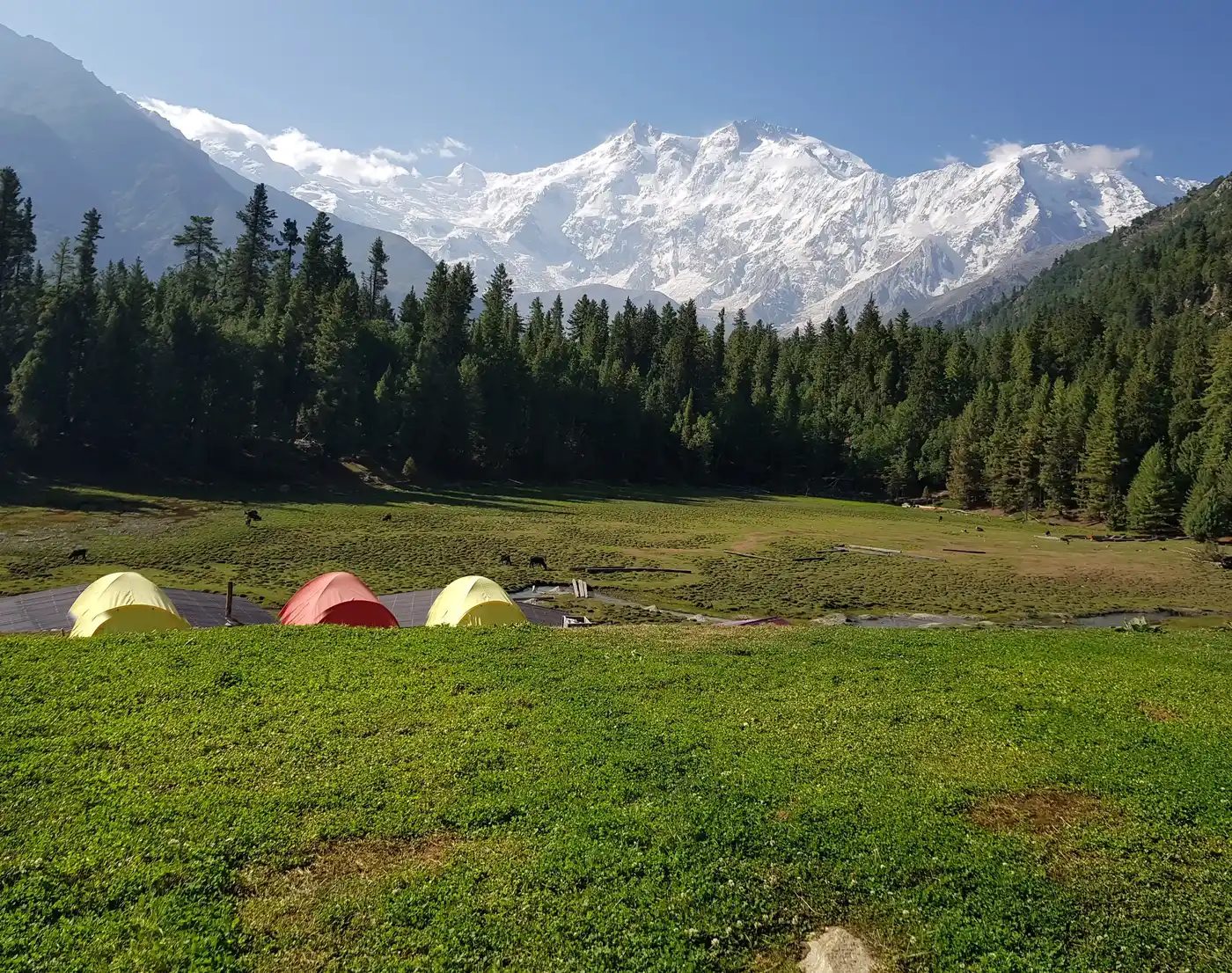9-day Lahore To Nanga Parbat: A Majestic Landscape