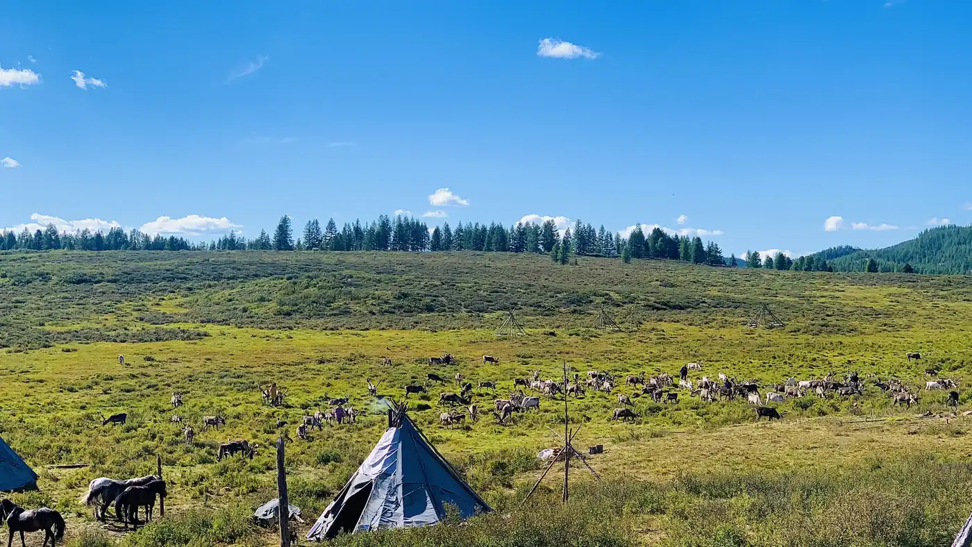 Altai Tavan Bogd With Horse Trek To Tsaatan Reindeer