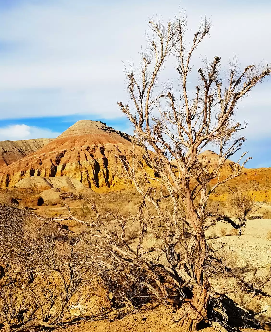 Altyn Emel 3 Days Homestay Or Camping