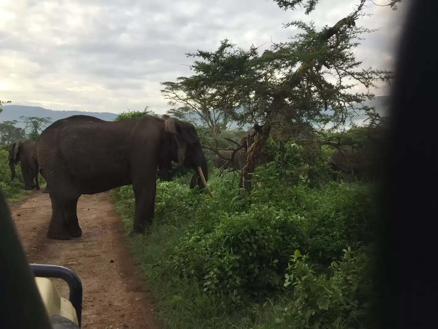 Best Northern Tanzania