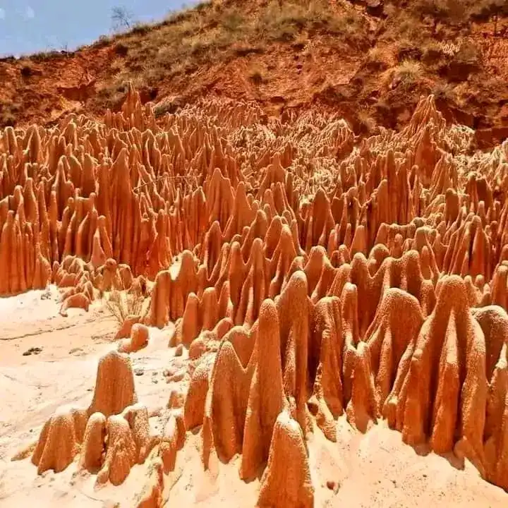 Day-explore The Red Tsingy In The North Of Madagascar