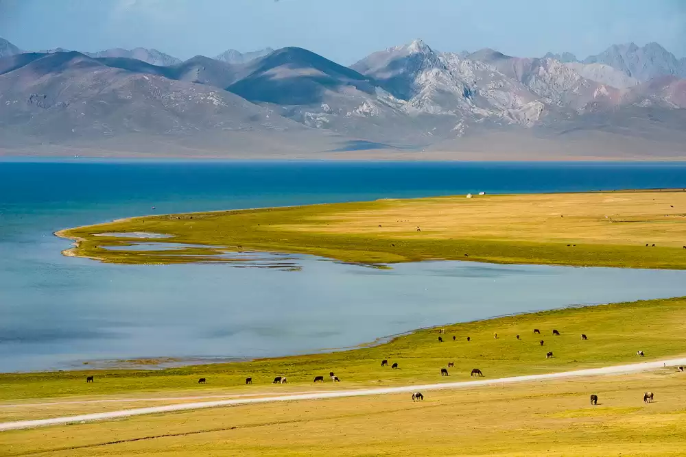 Bishkek - Osh