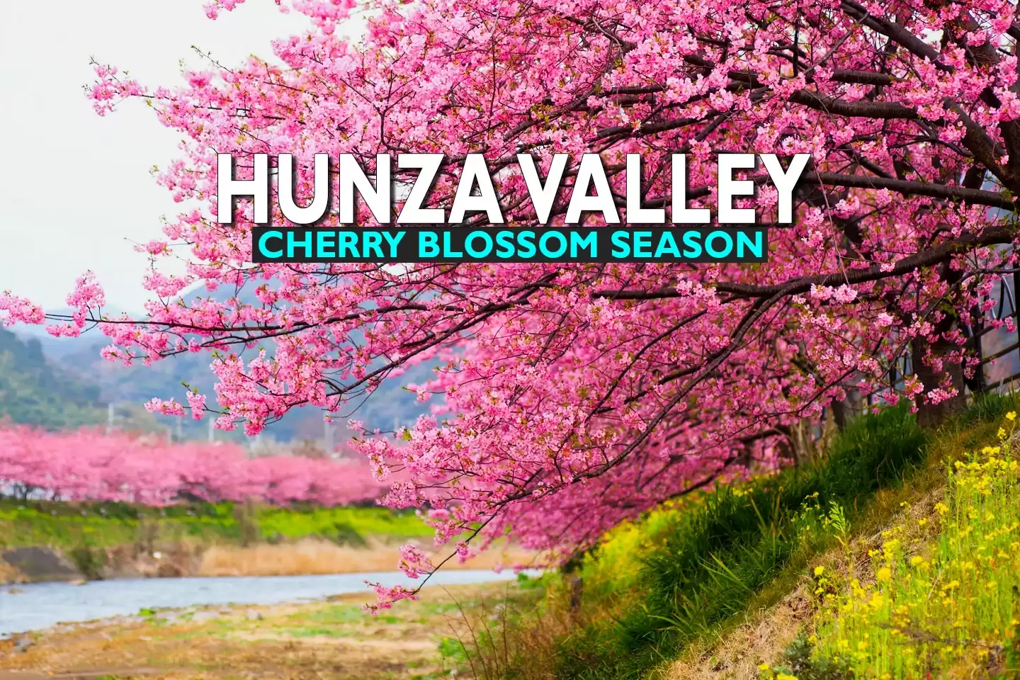 Blossom Tour In North Pakistan  2023