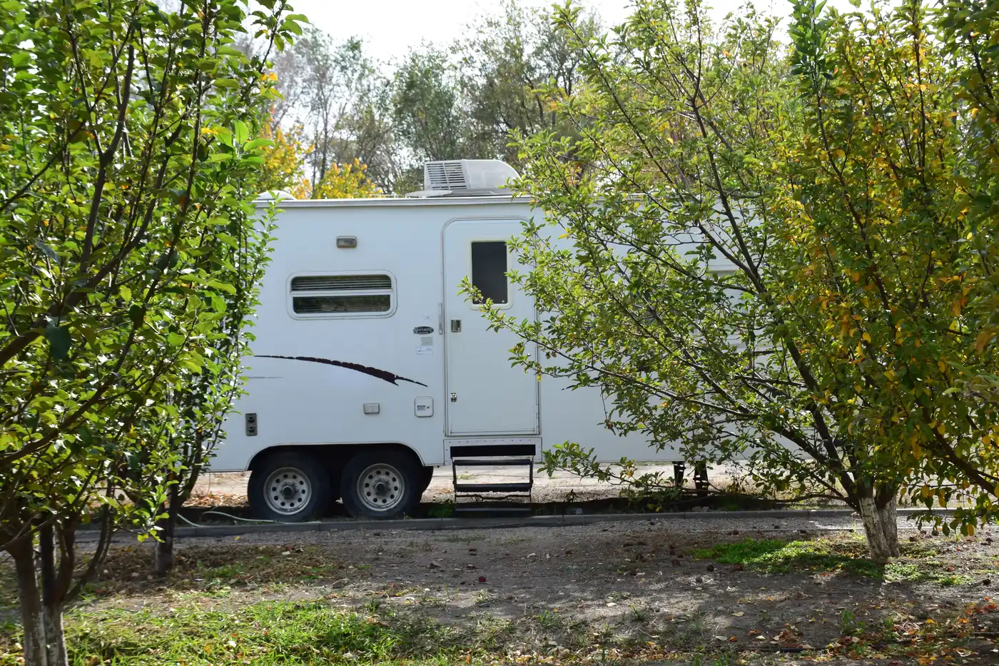 Campsite In Altyn-emel National National Park