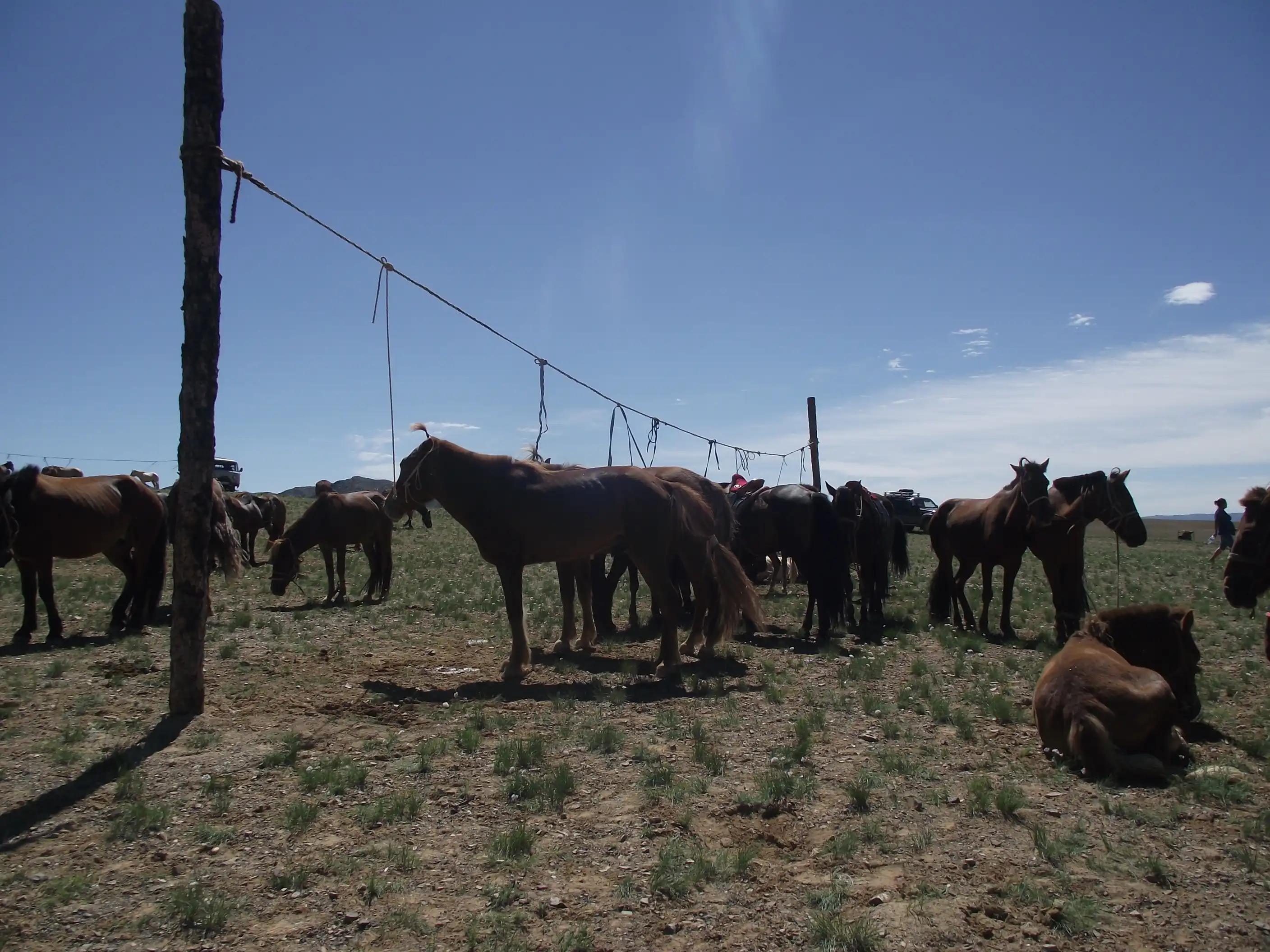 Central Mongolia Highlights Tour