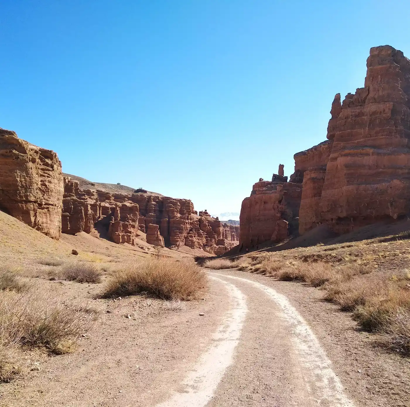 Charyn Canyon And Issyk Lake One Day Trip