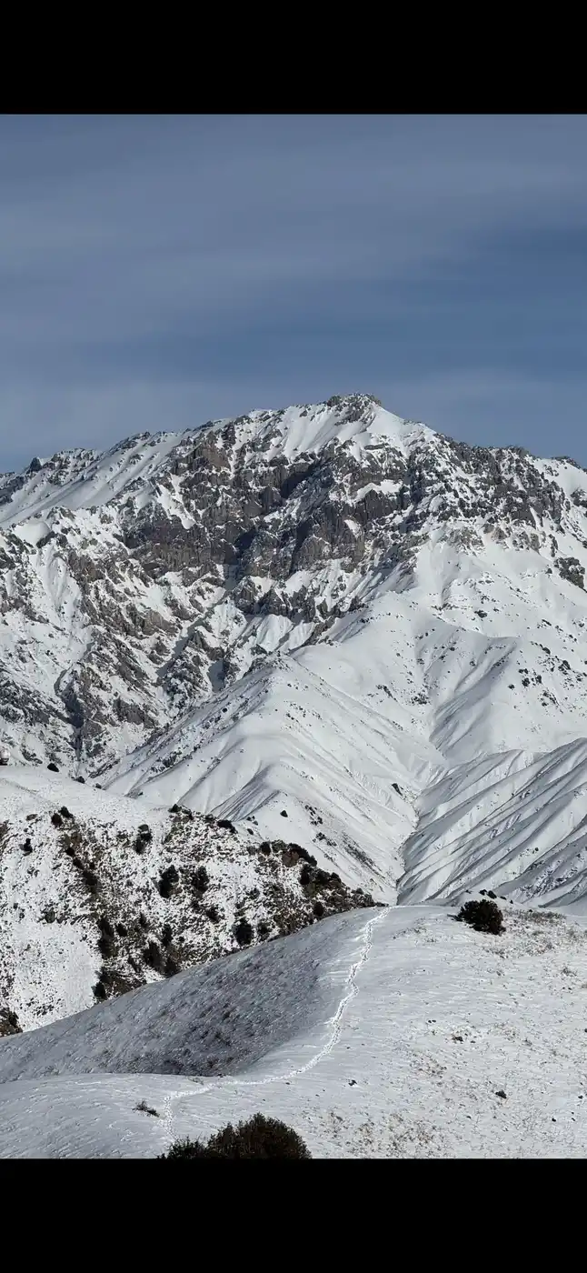 Chimgan Mountain Tour - 1 Day