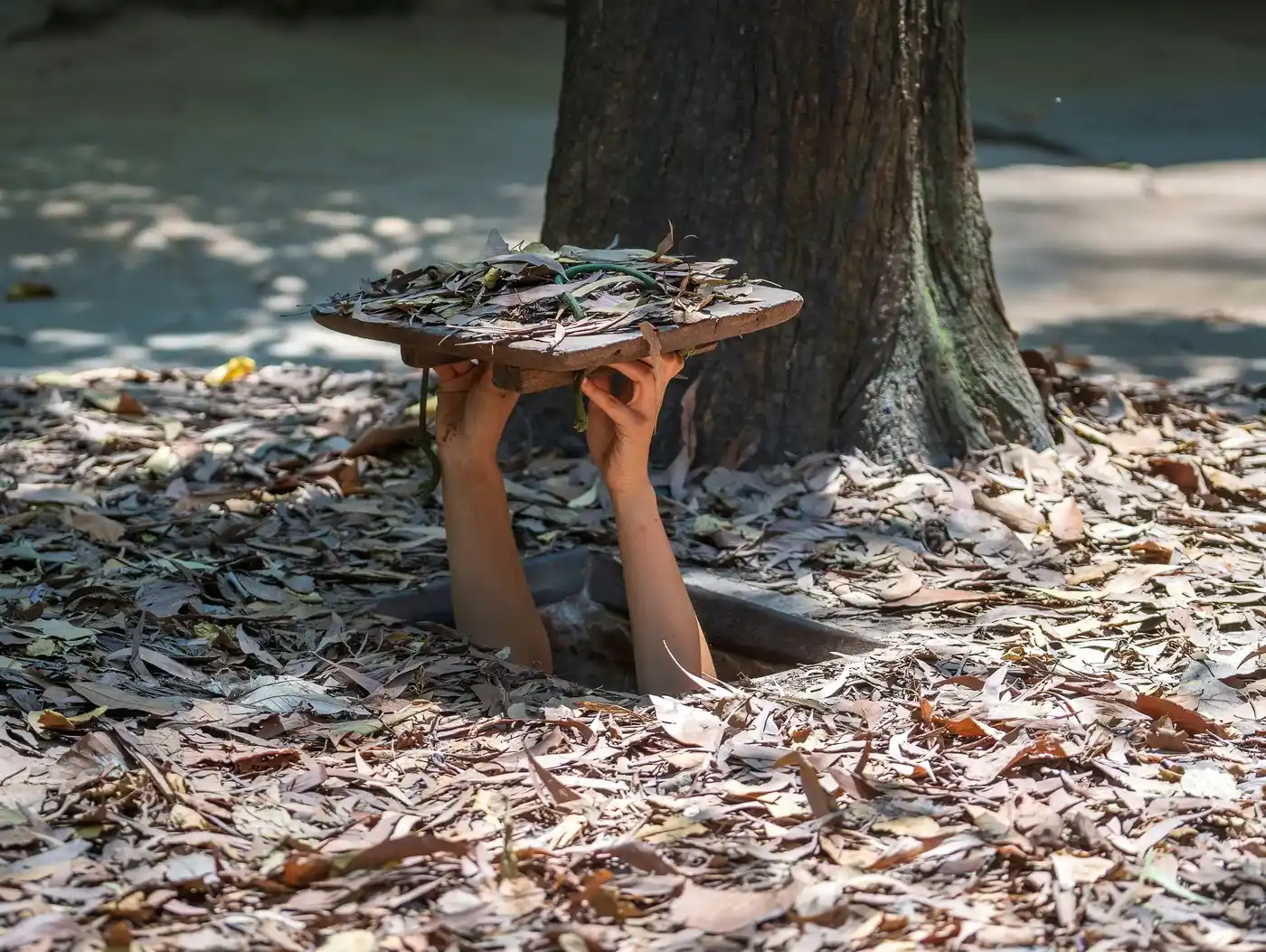 Cu Chi Tunnels & Mekong Delta 1 Day Tour