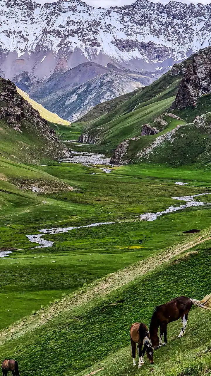 Traditional Kyrgyz Culinary Trip In Bishkek - 1 Day