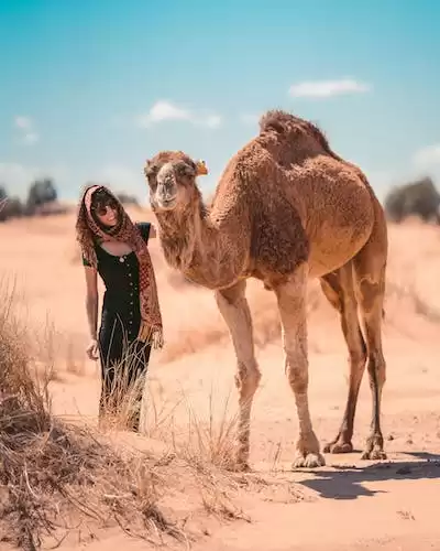Days Marrakech Sahara Tour