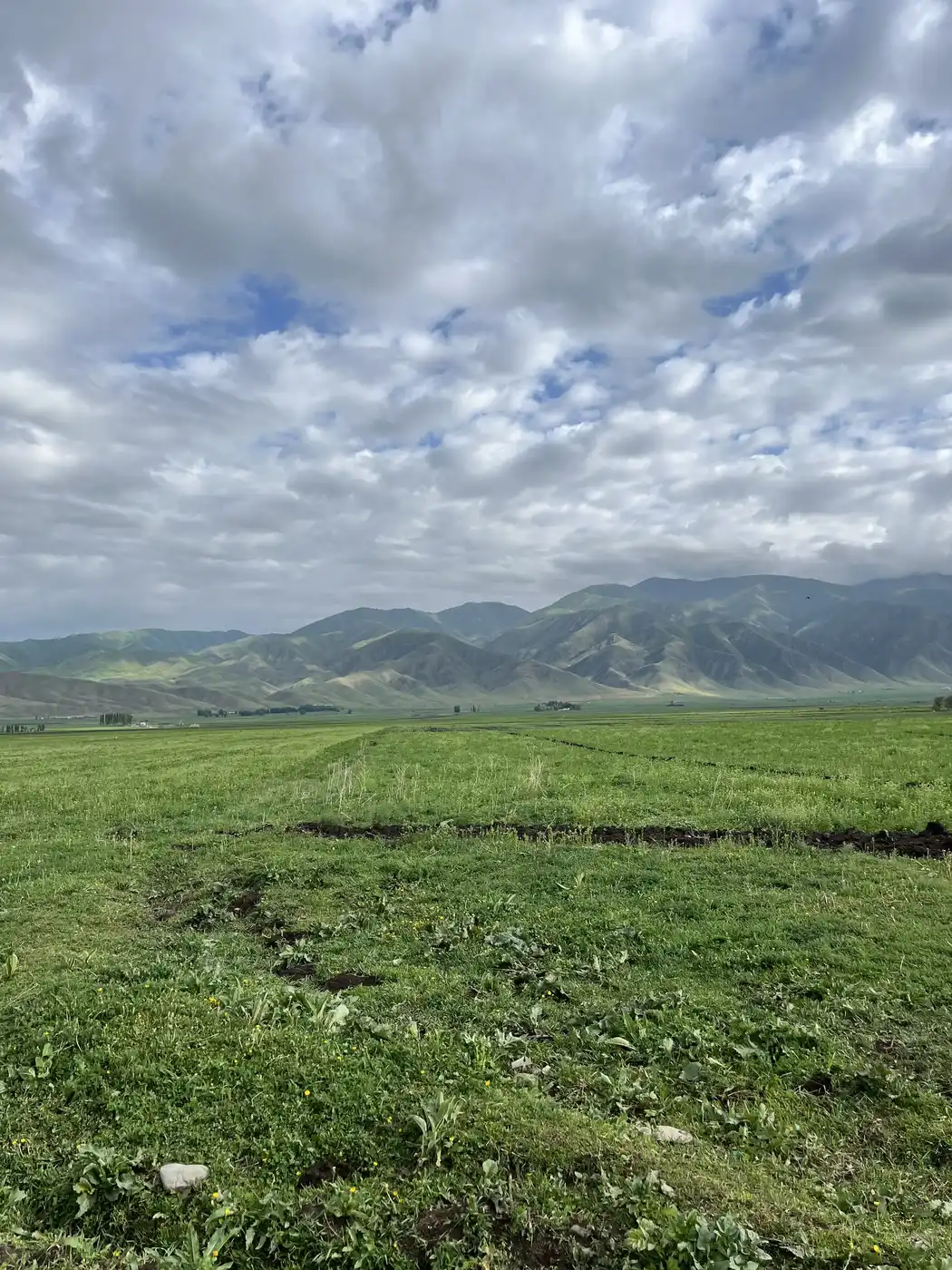 Discover Suusamyr Valley