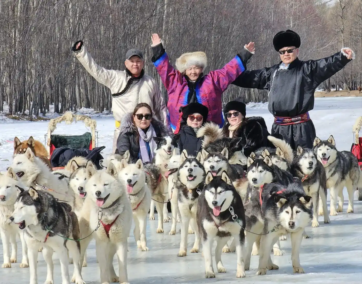 Dog Sleddin In Gorkhi Terelj National Park