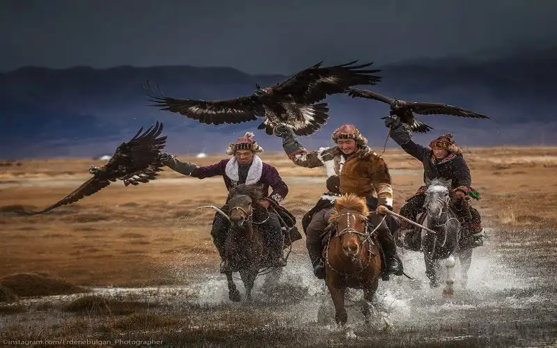 Eagle Festival 2024