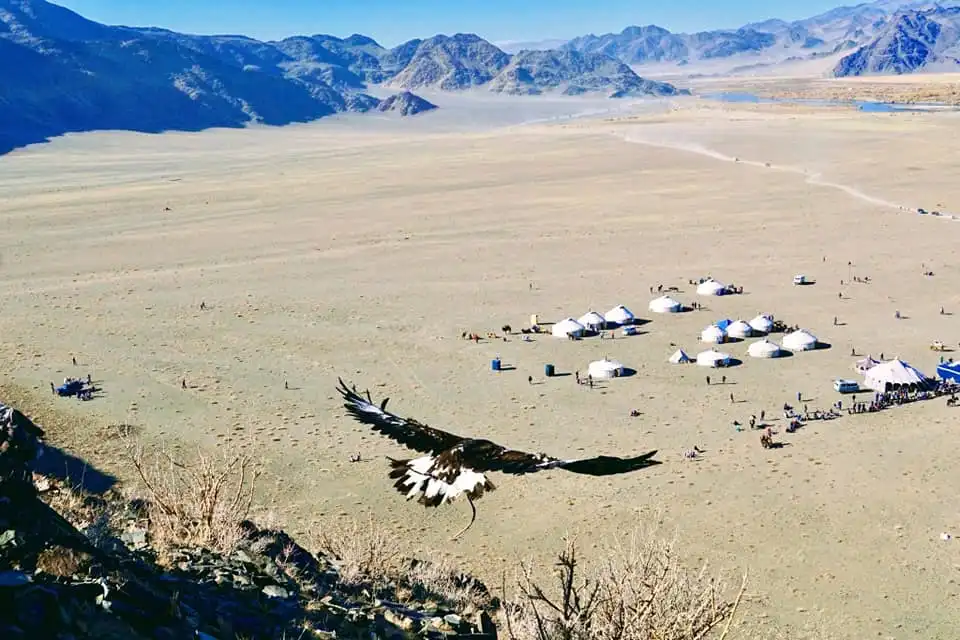 Eagle Festival 2026