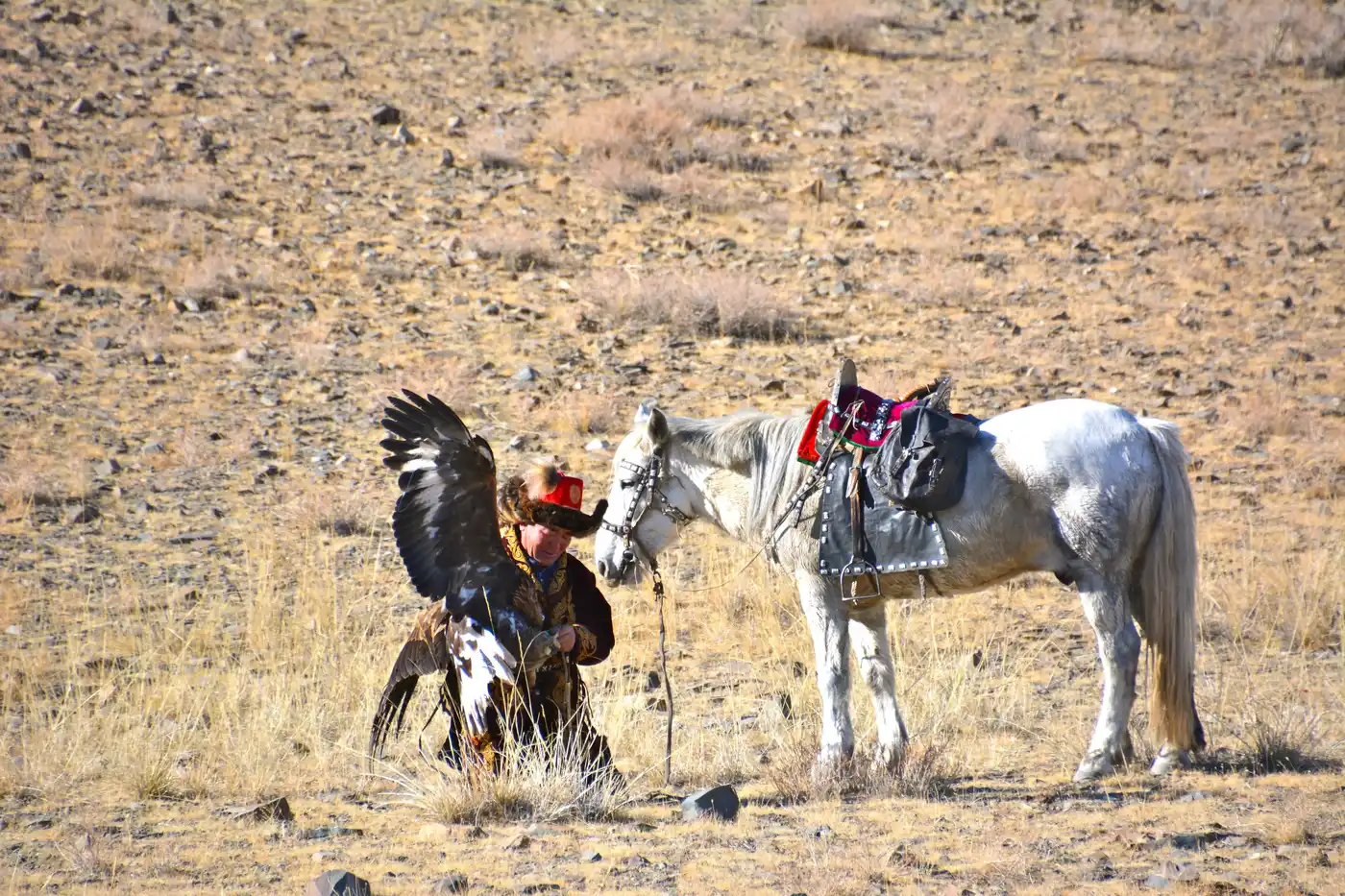 Eagle Festival In Western Mongolia