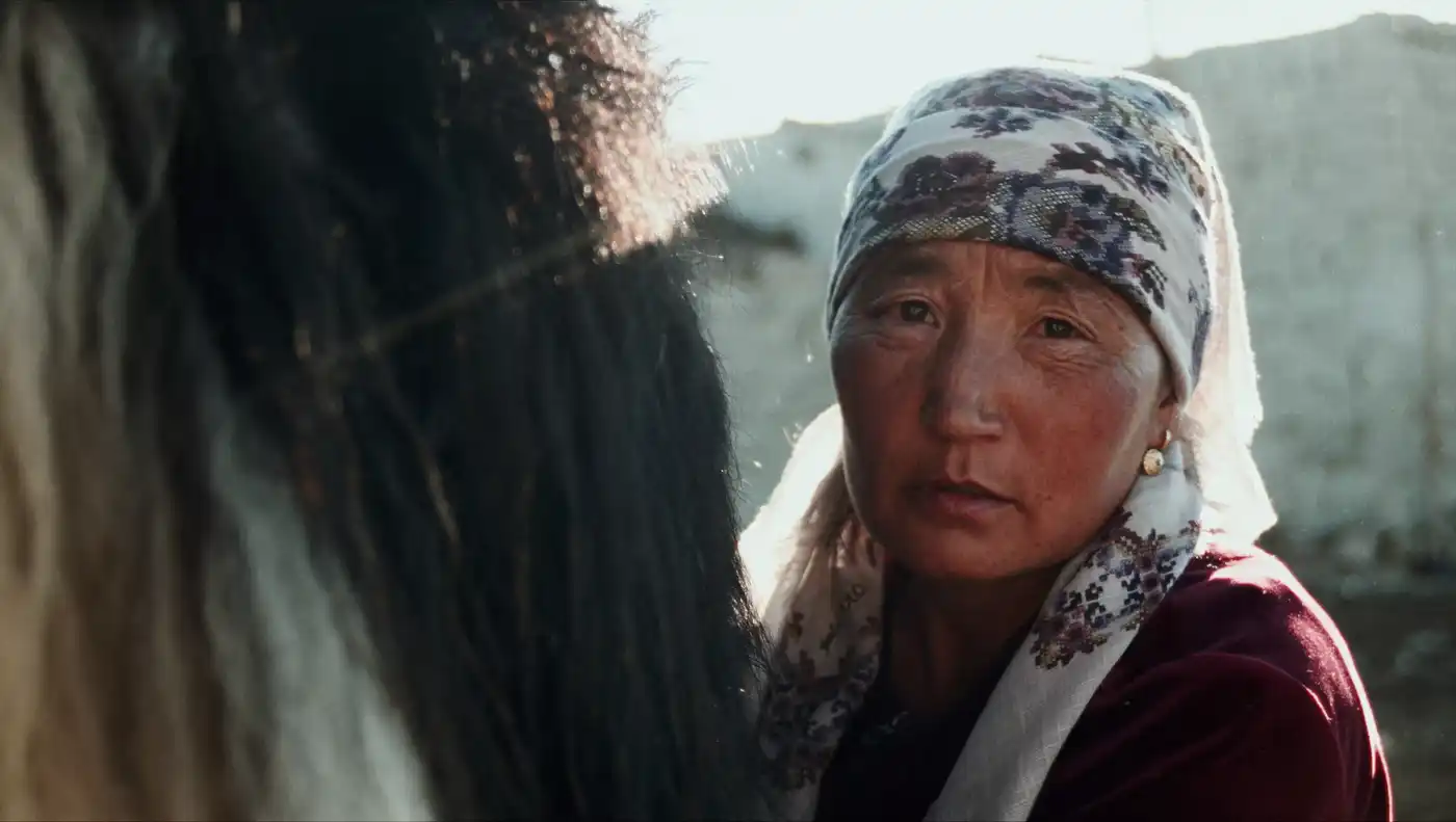 Horseback Eagle Hunter Herder Of Altai Gobi Desert