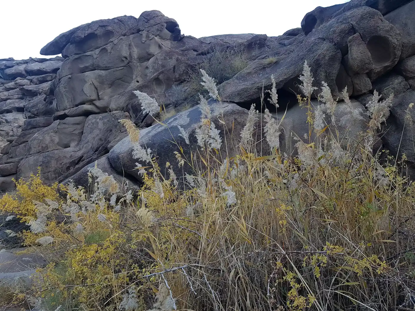 3 Days Hustai Terelj National Park Tour