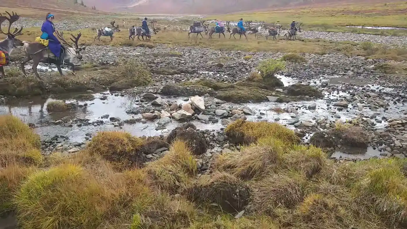 Explore Reindeer Herders Real Nomad Life Style