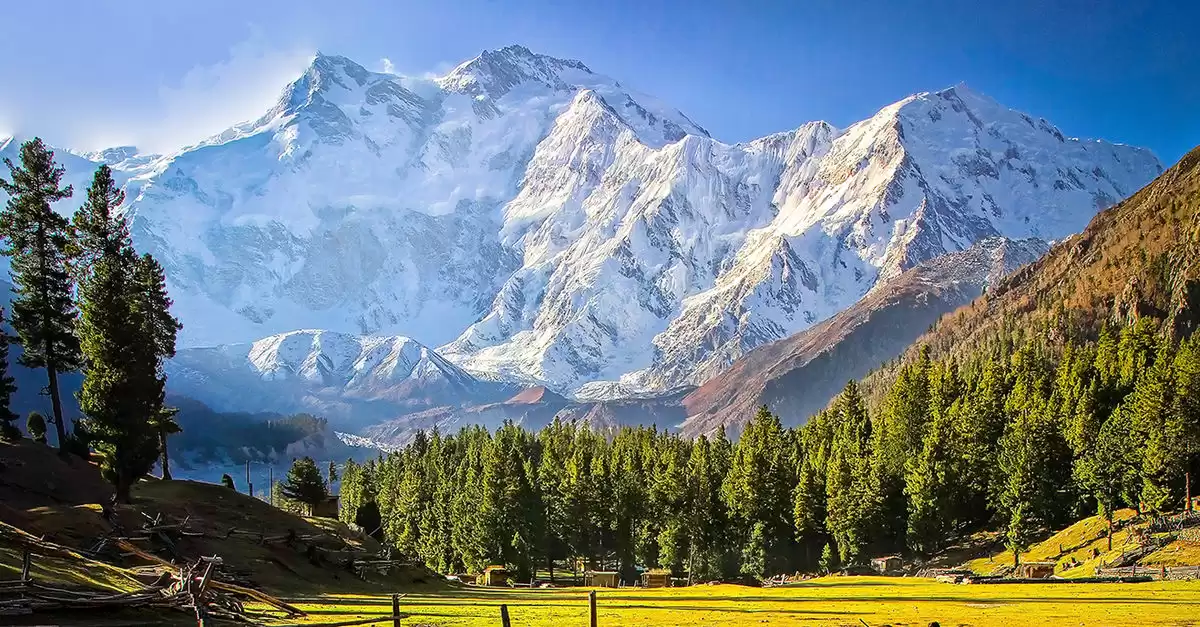Fairy Meadows & Nanga Parbat Trek