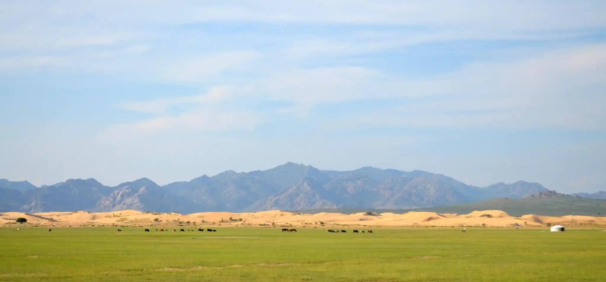 From Hot Gobi To Hot Spring:  11 Days Tour