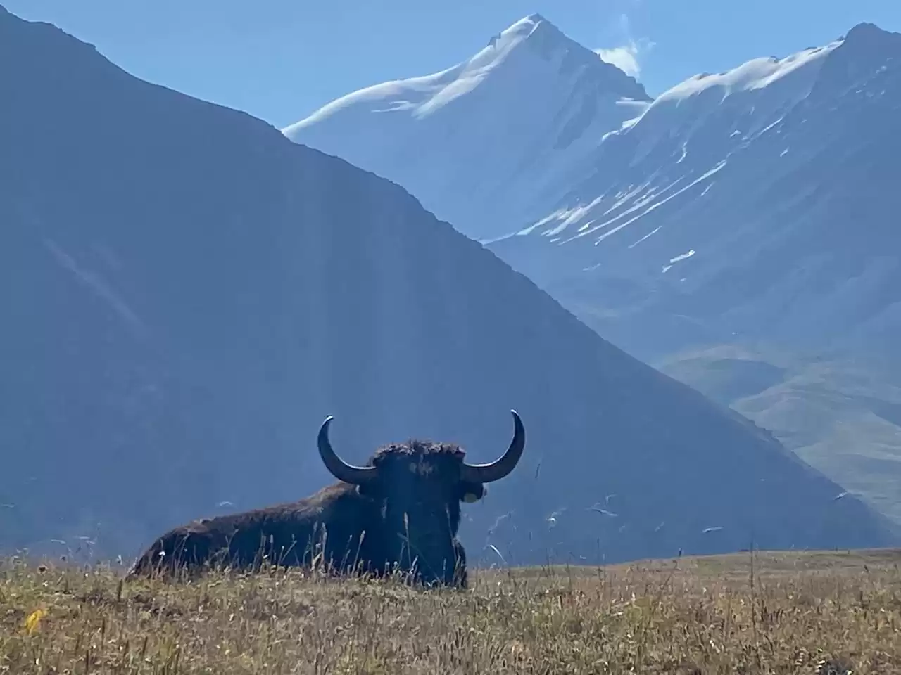 From Lakes To Mountain Peaks -  Best Of Kyrgyzstan